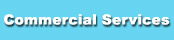 Commercial Services page